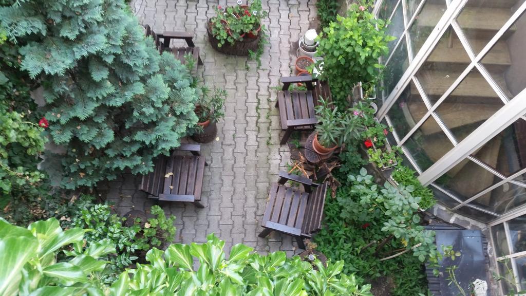 Târgu-Mureş Vila Monica Bed & Breakfast エクステリア 写真