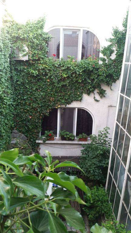Târgu-Mureş Vila Monica Bed & Breakfast エクステリア 写真