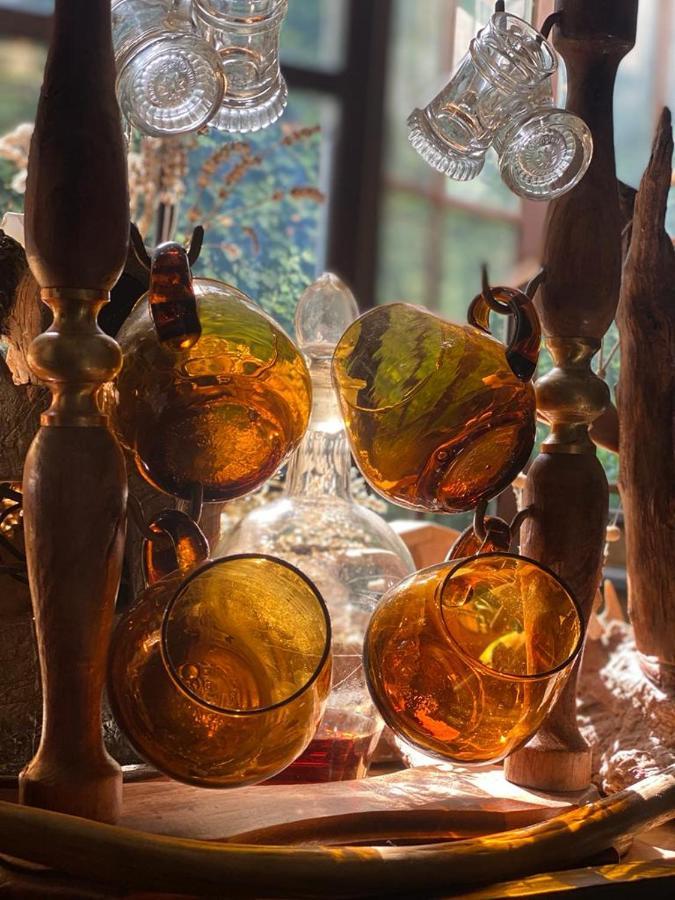 Târgu-Mureş Vila Monica Bed & Breakfast エクステリア 写真