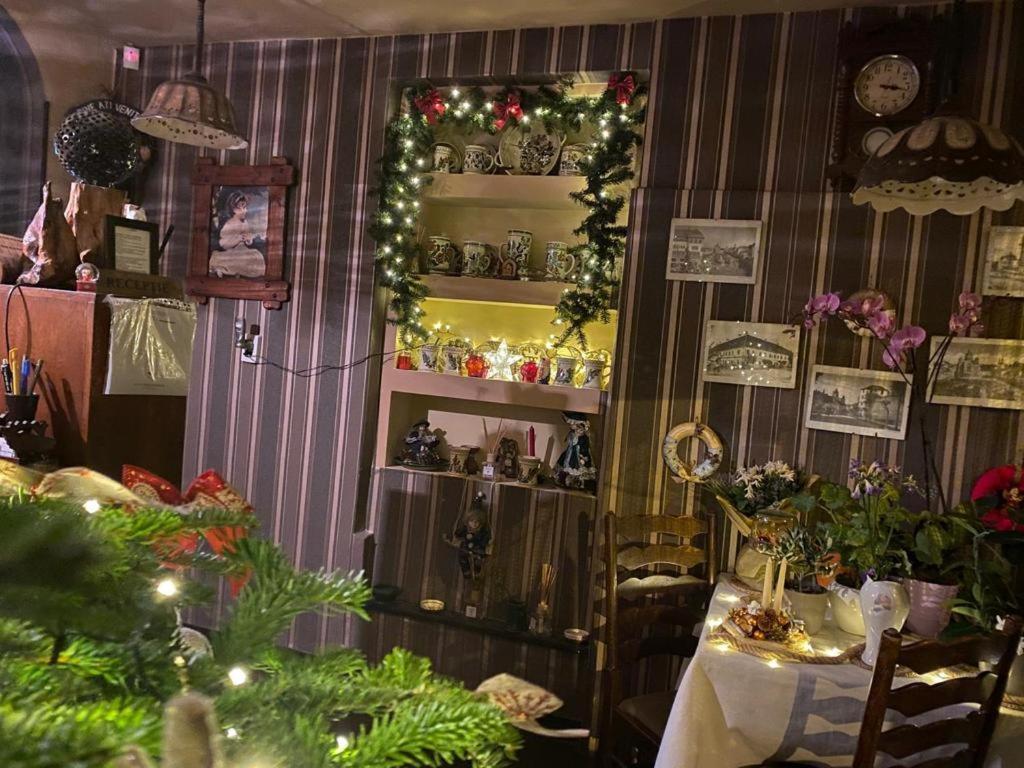Târgu-Mureş Vila Monica Bed & Breakfast エクステリア 写真