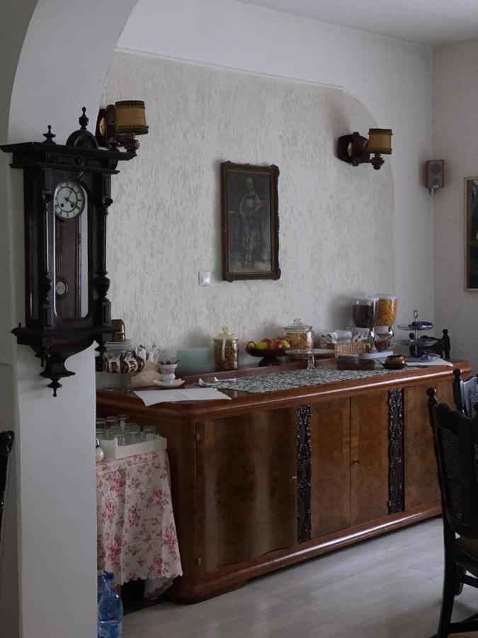 Târgu-Mureş Vila Monica Bed & Breakfast エクステリア 写真