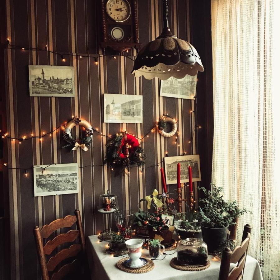 Târgu-Mureş Vila Monica Bed & Breakfast エクステリア 写真