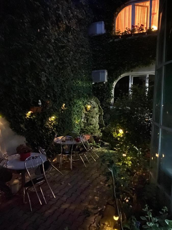 Târgu-Mureş Vila Monica Bed & Breakfast エクステリア 写真