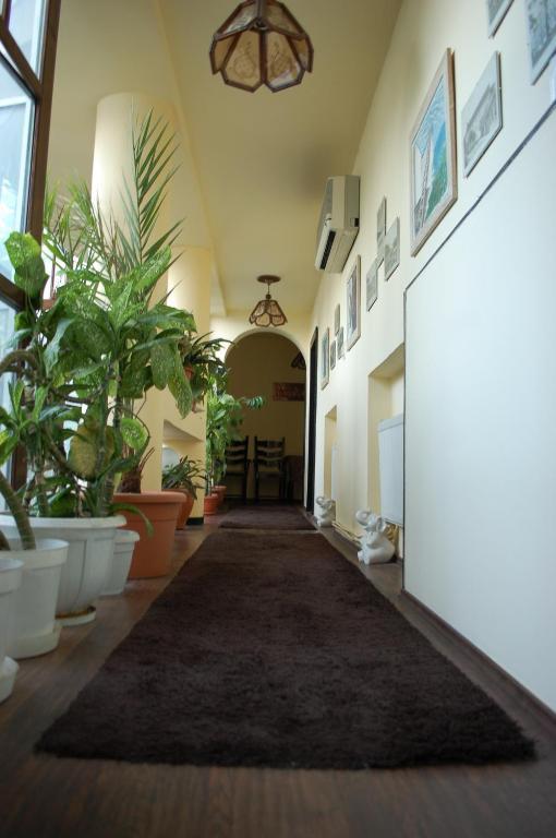 Târgu-Mureş Vila Monica Bed & Breakfast エクステリア 写真