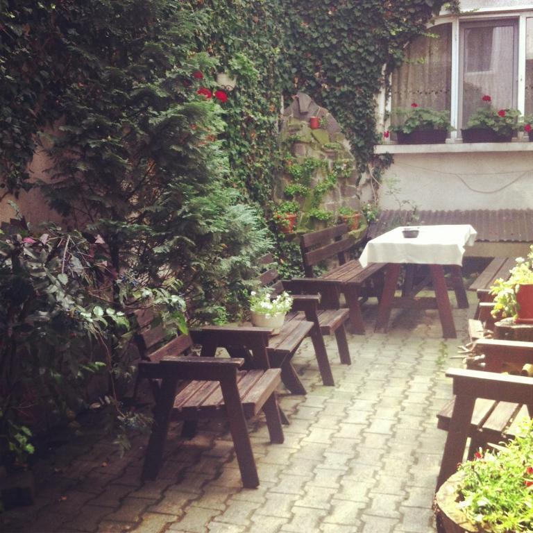 Târgu-Mureş Vila Monica Bed & Breakfast エクステリア 写真