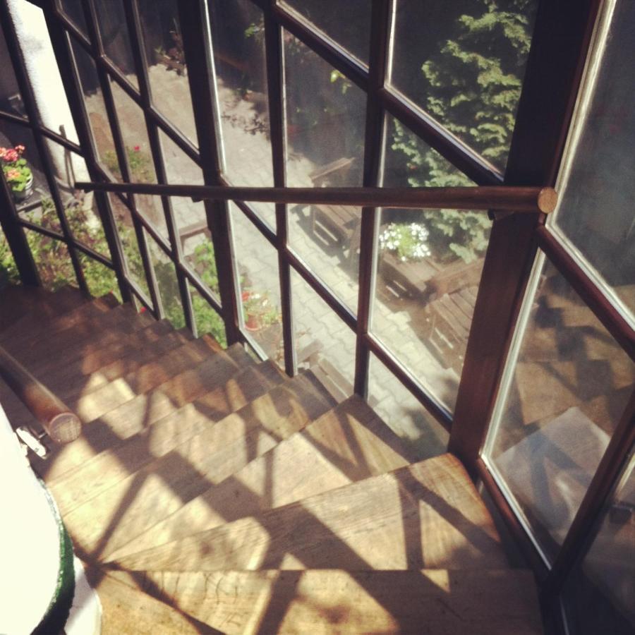Târgu-Mureş Vila Monica Bed & Breakfast エクステリア 写真